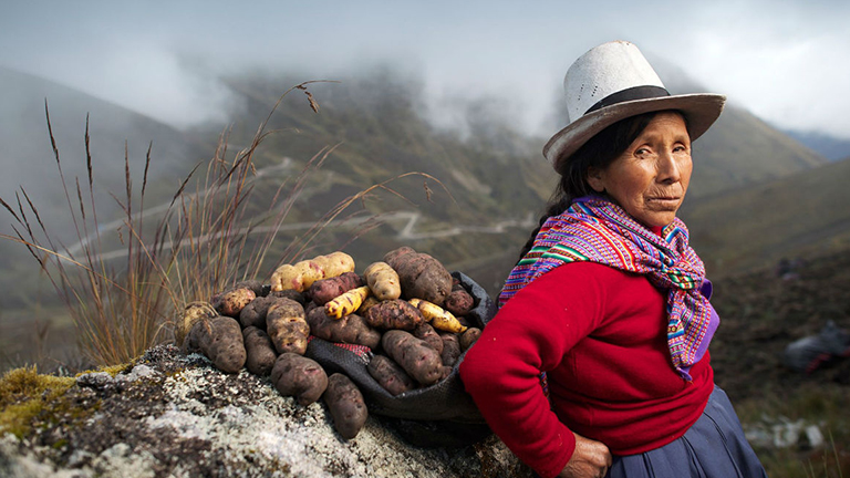 International Day of Indigenous Women 👩🏽‍🌾