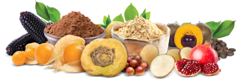 Superfoods Peru